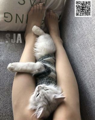 國產霸道女總裁_4K日韓免費觀看